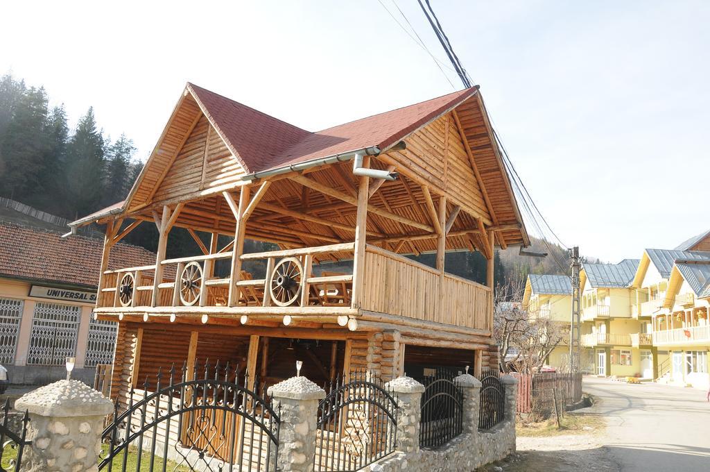 Casa Andu Hotel ดิมโบวิชิอัวรา ภายนอก รูปภาพ