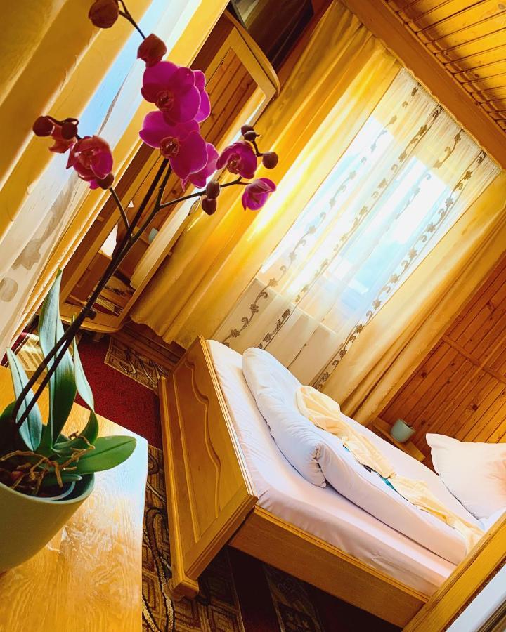 Casa Andu Hotel ดิมโบวิชิอัวรา ภายนอก รูปภาพ